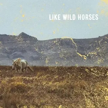 Blacktop Mojo : Like Wild Horses